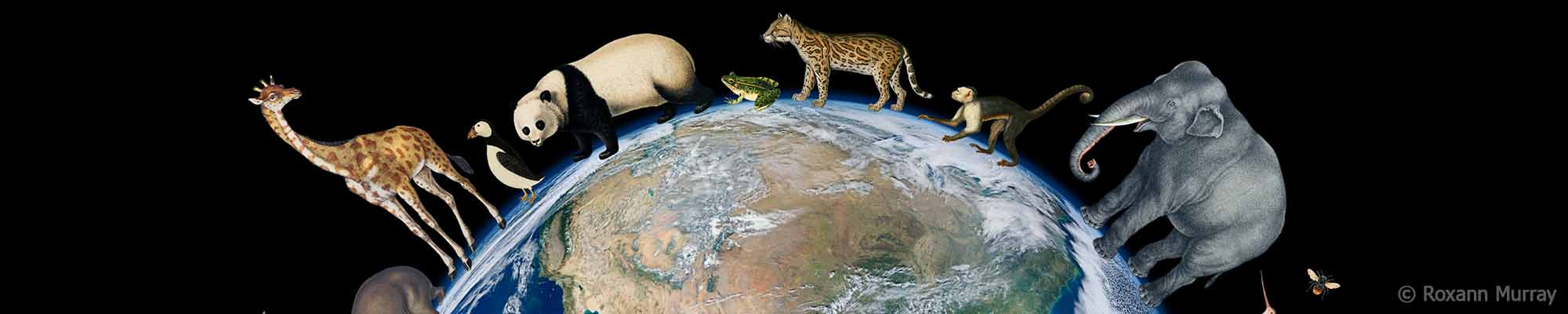 Roxann Murray Slide background