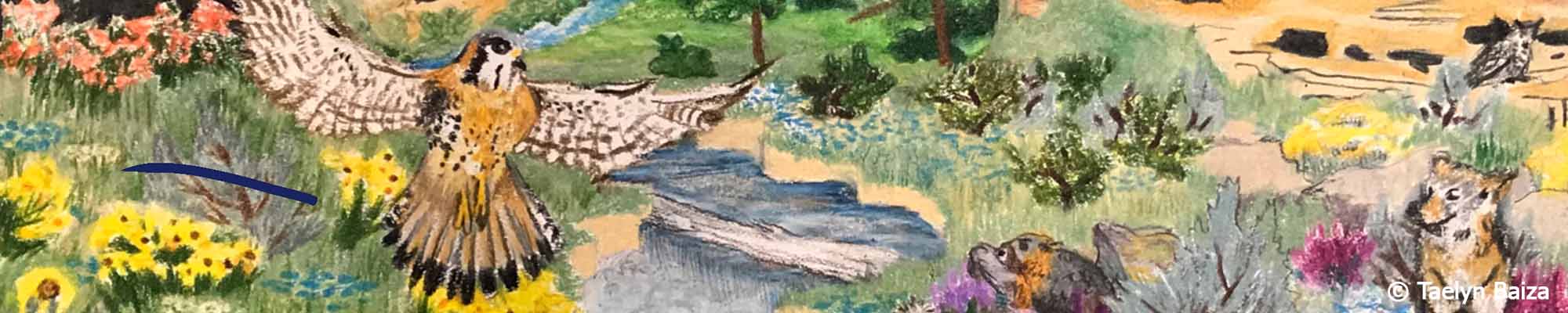 Taelyn Baiza Slide background