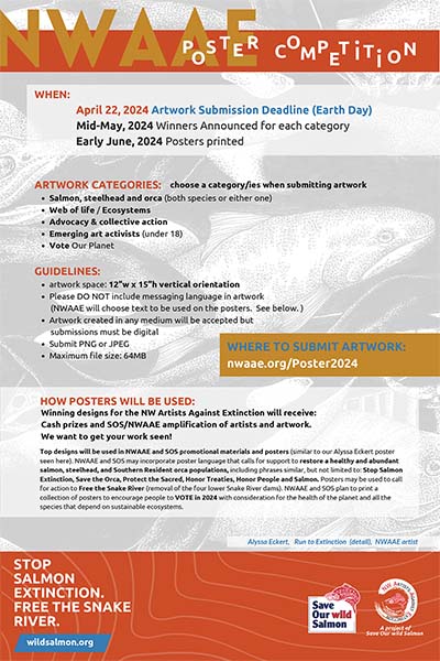 2024 NWAAE Poster Competition