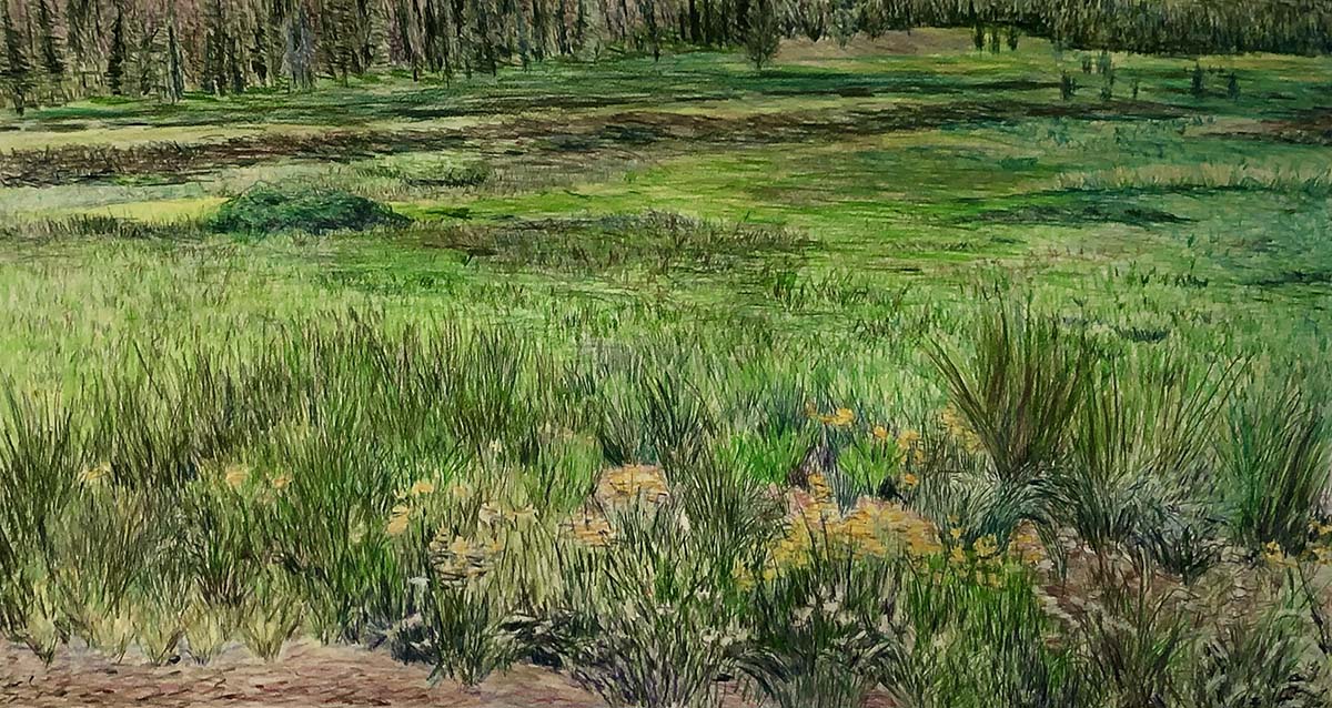 Elise Richman: Meadow III: Johnson Creek