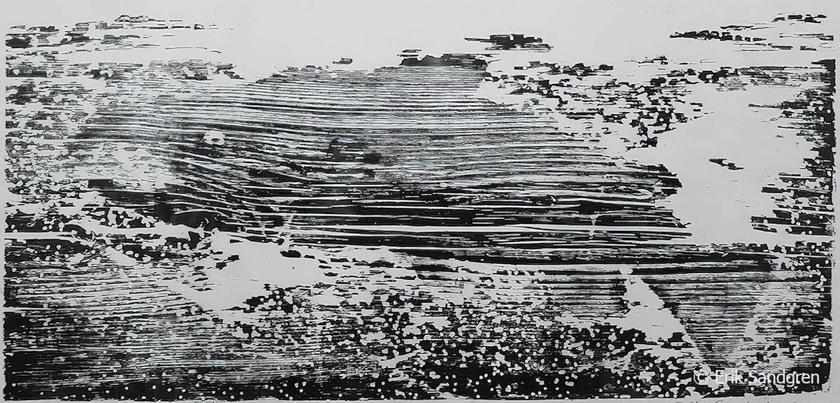 Erik Sandgren: Millenial Salmonoid