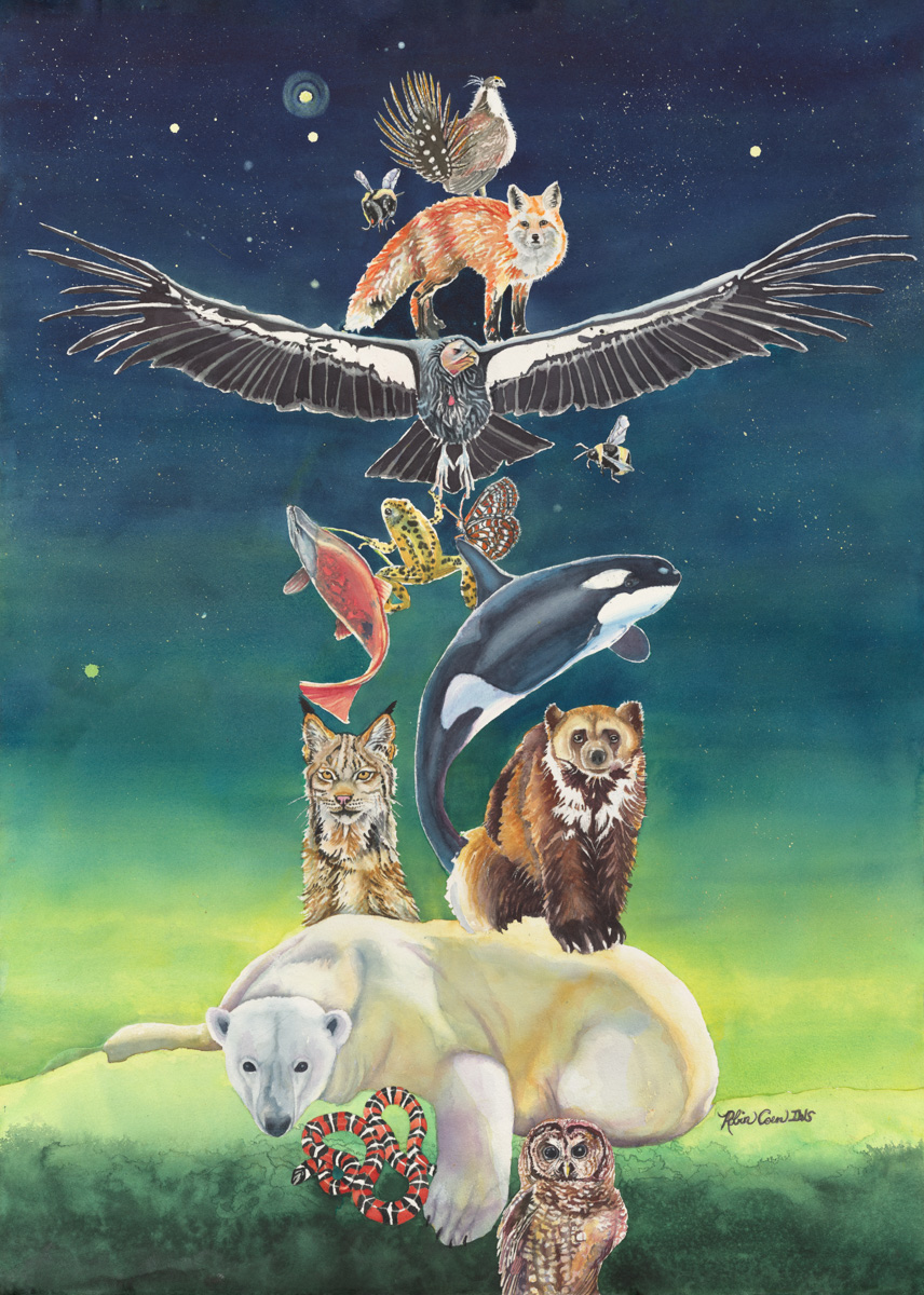 Robin Coen Totem of Vanishing Souls