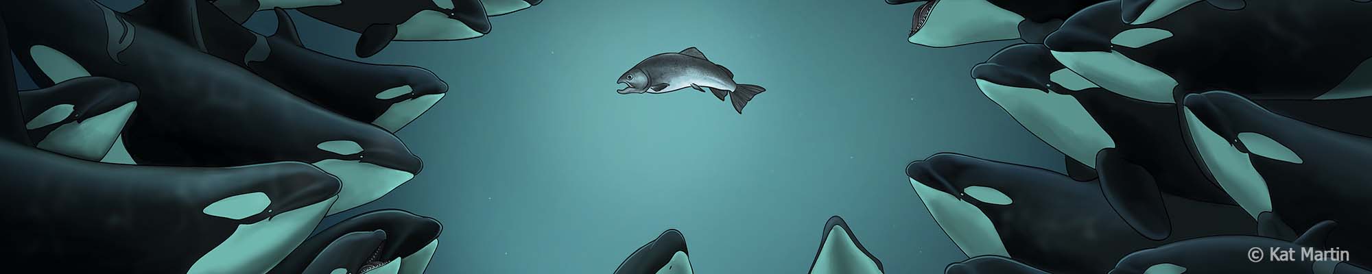 Kat Martin Slide background