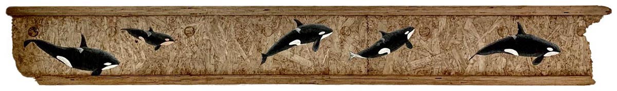 2024 06 25 Gabriel Newton On the Move 1200w