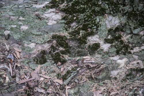 2024 01 17 aor pasco megancmack011 wm