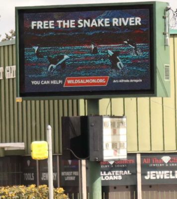 2023 01 01 2022 billboard orcax900