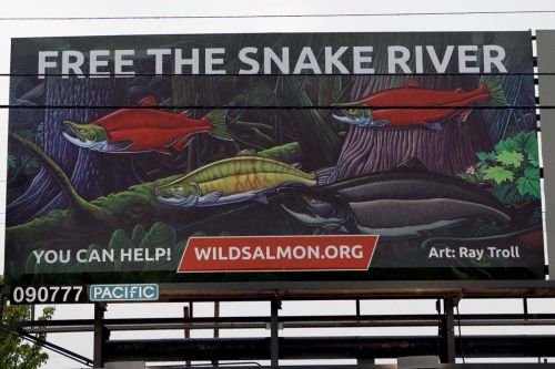 2023 01 01 troll billboardx800