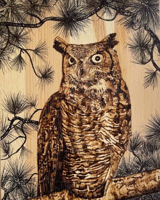 taelyn baiza great horned owlx1200