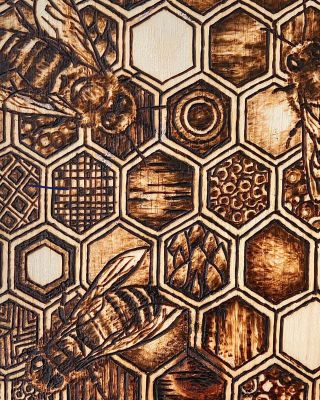 taelyn baiza honeybeesx1200